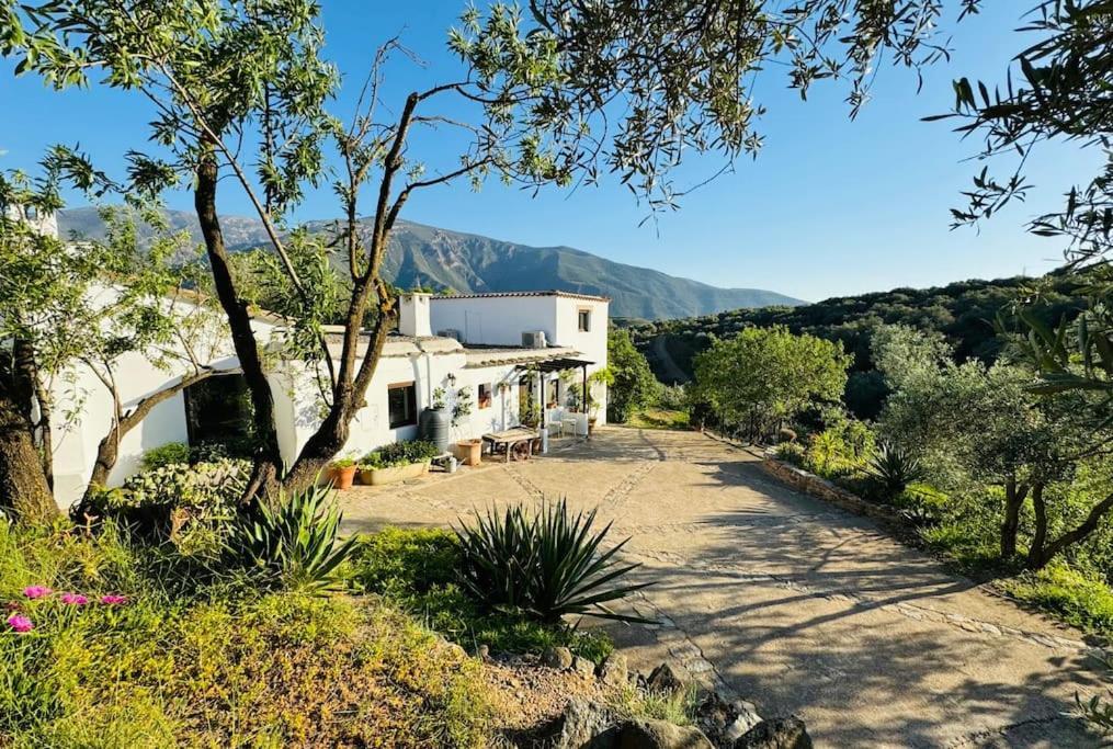 Almond Hill House Βίλα Orgiva Εξωτερικό φωτογραφία